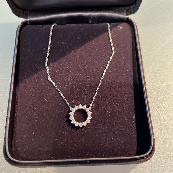 TIFFANY & CO platinum diamond circle of life necklace - Picture 3 of 3